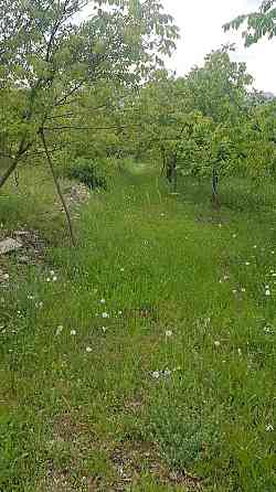 Yüksel Farm Dursunbey