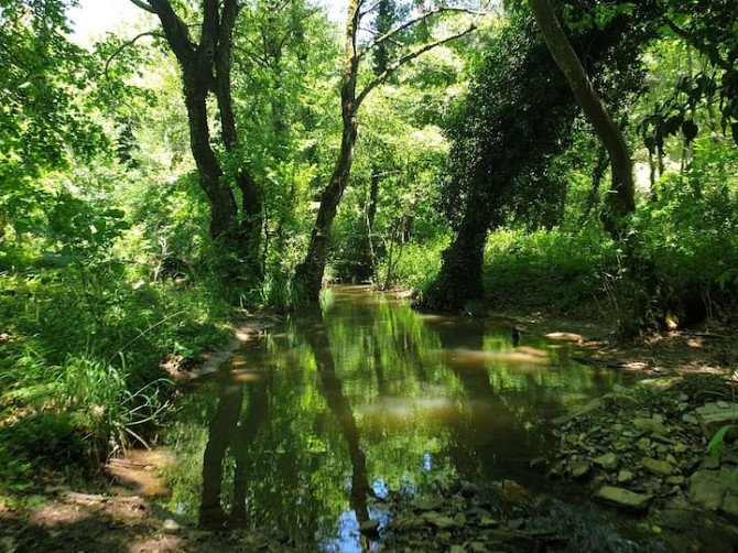 Лучшее место для знакомства с естественной жизнью Bayindir - photo 1