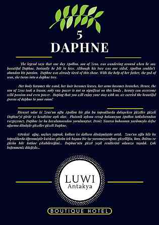 Lulu Guest House 1+1 Daphne Антиохия