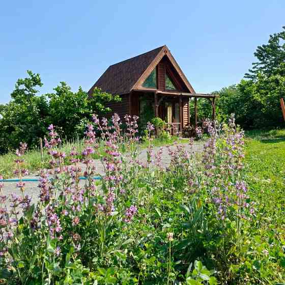 Tiny House with Forest View - все бунгало в вашем распоряжении Sapanca