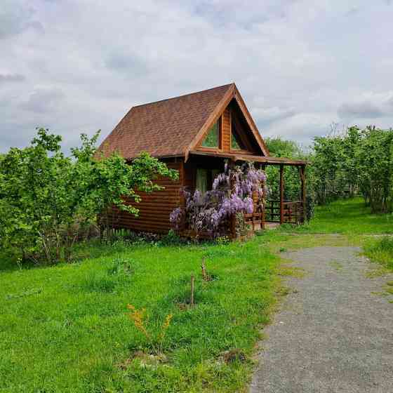 Tiny House with Forest View - все бунгало в вашем распоряжении Sapanca