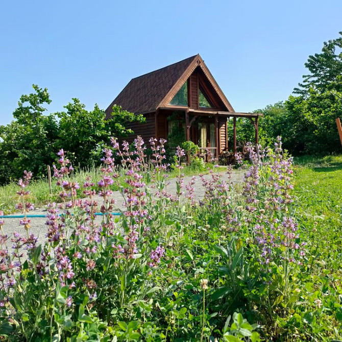 Tiny House with Forest View - все бунгало в вашем распоряжении Sapanca - photo 5