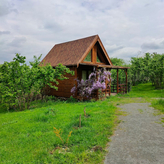 Tiny House with Forest View - все бунгало в вашем распоряжении Sapanca - photo 3