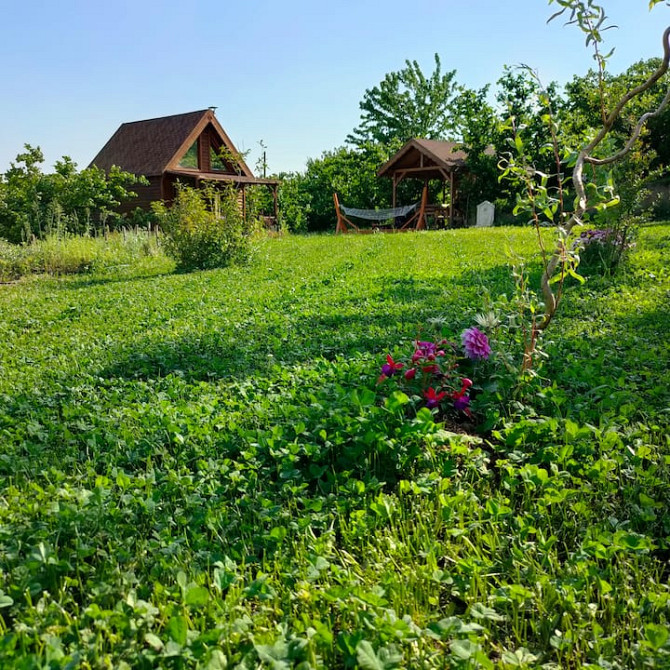 Tiny House with Forest View - все бунгало в вашем распоряжении Sapanca - photo 4