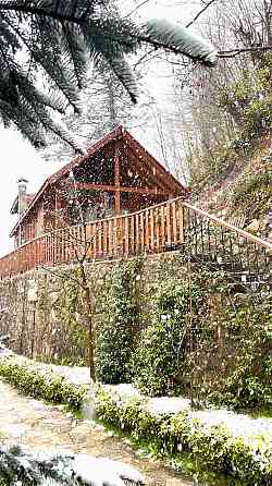 Дом Blue Spruce Treehouse в лесу Sapanca