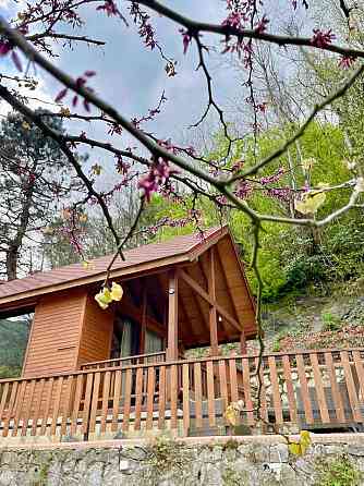 Дом Blue Spruce Treehouse в лесу Sapanca