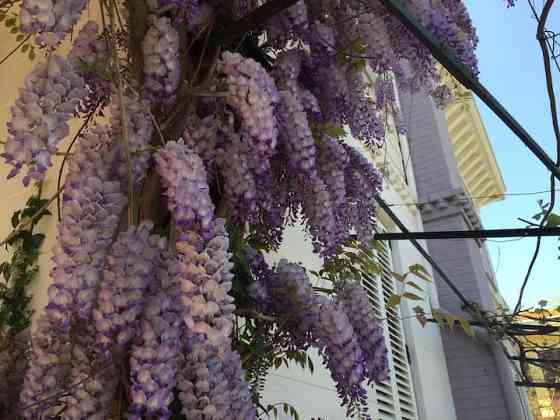 Уникальное Впечатление в Буюкаде Maltepe