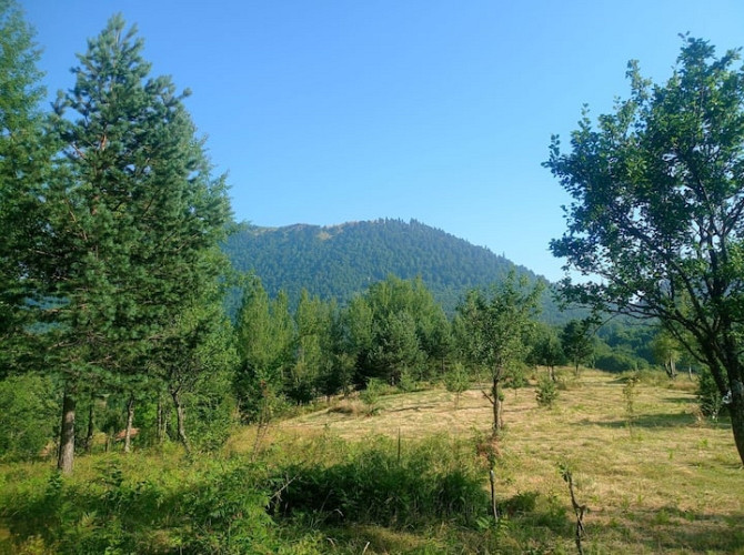 в ожидании природы и плато Hendek - photo 3