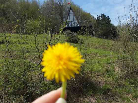 Моя Pyramid2
Nestled в природе, она уникальна. Geyve