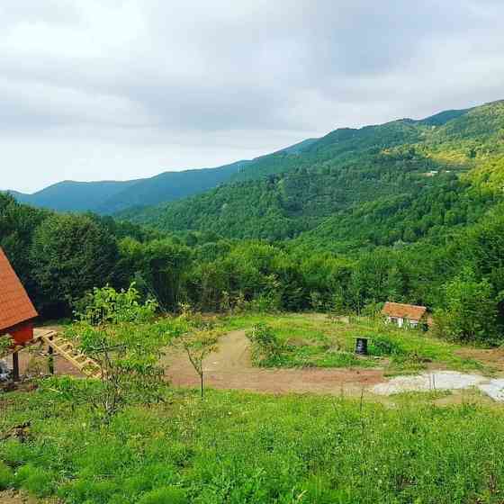 еловые дома в Буговель-Даг Geyve