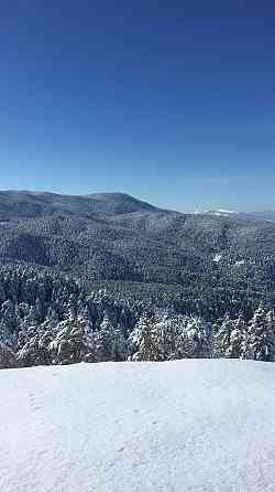 КРАСНЫЙ ДОМ Bolu