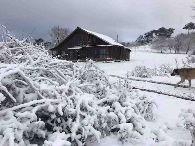 abant body-Bolu box chalet-villa karaca Bolu - photo 5