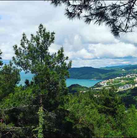 Бунгало в парке Ахшап Bartin