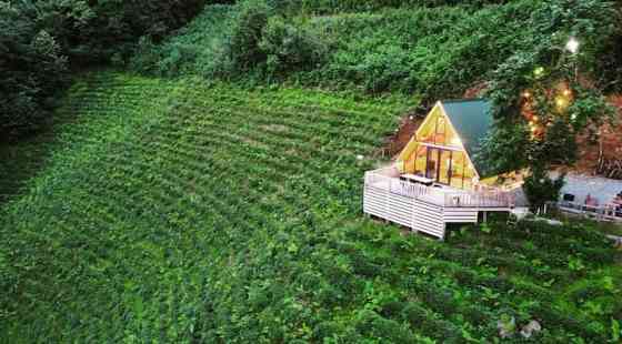 Okobale Mountain House Мусазаде