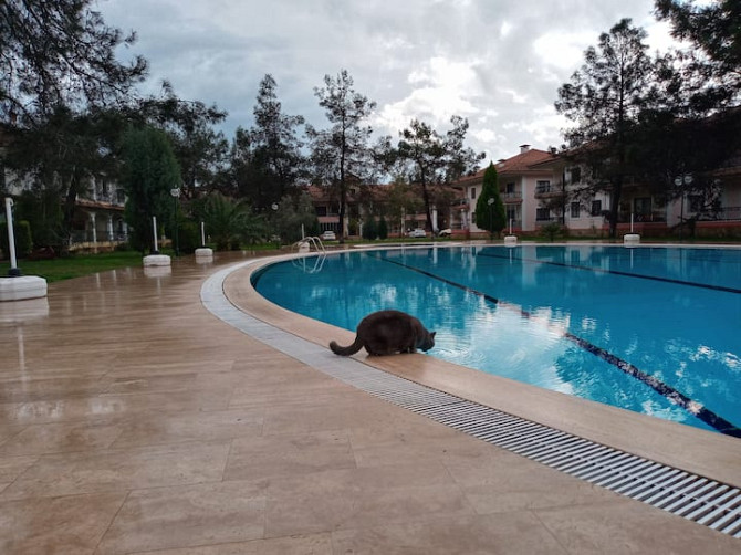 отдельный дом на территории в бухте Карайнцир в Бодруме Turgutreis - photo 2