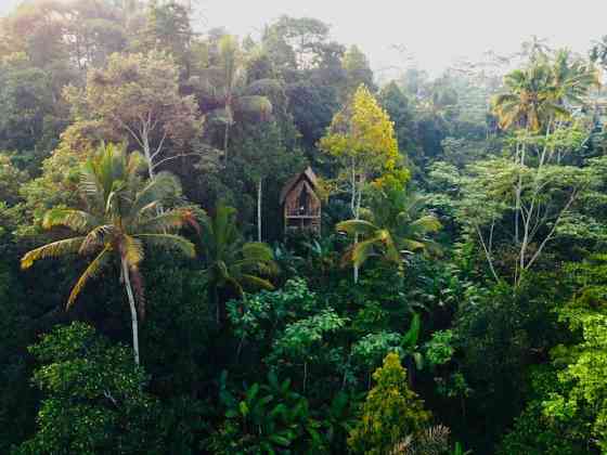 Nafka Lodge Private Eco Bamboo House, вид на джунгли Ubud