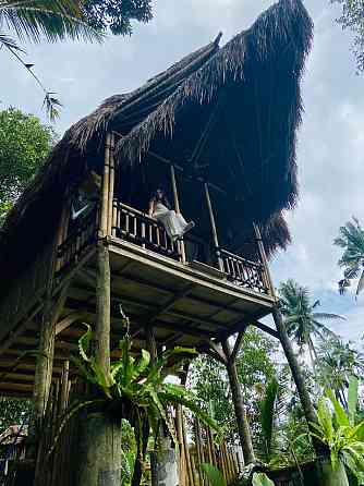 Nafka Lodge Private Eco Bamboo House, вид на джунгли Ubud