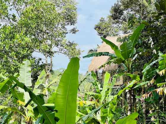 Nafka Lodge Private Eco Bamboo House, вид на джунгли Ubud