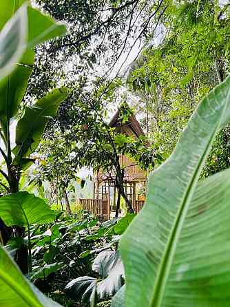 Nafka Lodge Private Eco Bamboo House, вид на джунгли Ubud