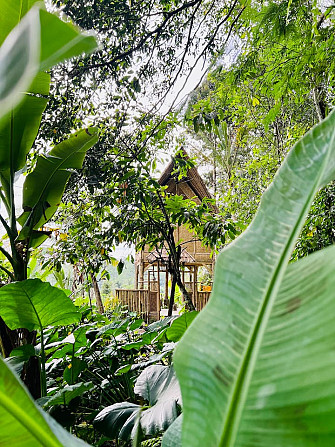 Nafka Lodge Private Eco Bamboo House, вид на джунгли Ubud - изображение 6