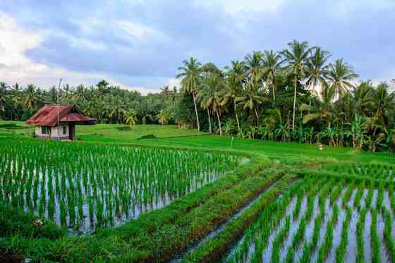 Недавний деревянный двухэтажный дом с великолепным видом Ubud