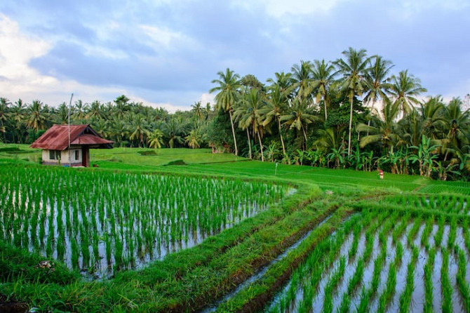 Недавний деревянный двухэтажный дом с великолепным видом Ubud - изображение 5