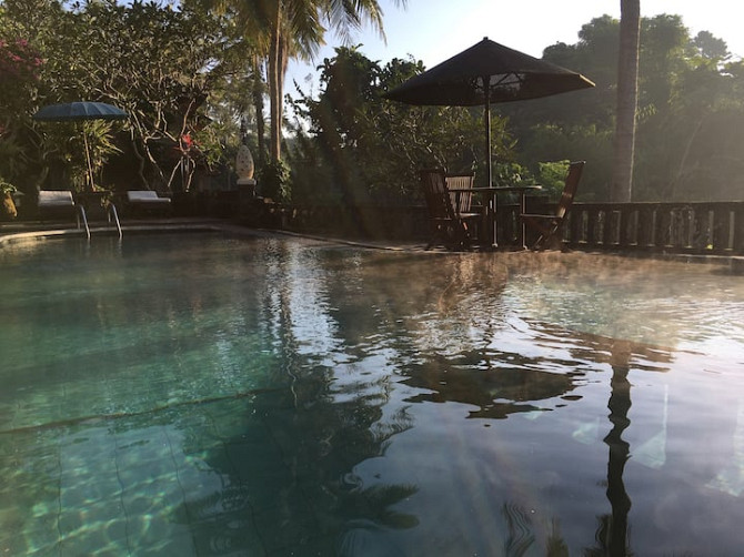 Sakti Villas Ubud - An Intimate Resort - Lily Ubud - изображение 6