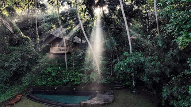 Домик с бамбуковыми черепахами и видом на реку в 5 км до центра Убуда. Ubud - изображение 2