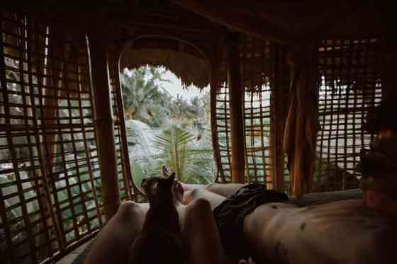 Firefly Eco Lodge-Bambooirdsnest level 3 Ubud