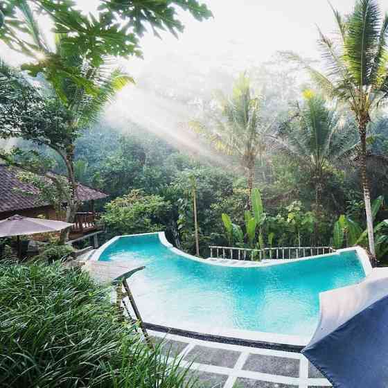 2 КЛАССИЧЕСКИХ ПИСЦА «РАМА» В БРУКЕ Ubud