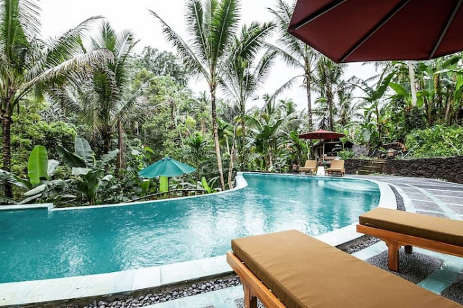 2 КЛАССИЧЕСКИХ ПИСЦА «РАМА» В БРУКЕ Ubud - изображение 2