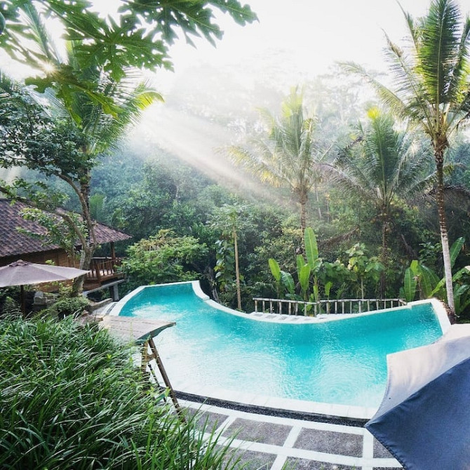 2 КЛАССИЧЕСКИХ ПИСЦА «РАМА» В БРУКЕ Ubud - изображение 3