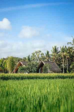 ДНЕВНЫЕ ОБЛАКА, Убуд. Ubud