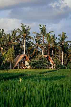 ДНЕВНЫЕ ОБЛАКА, Убуд. Ubud