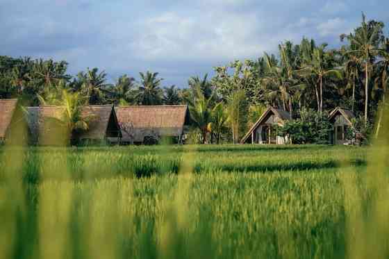 ДНЕВНЫЕ ОБЛАКА, Убуд. Ubud