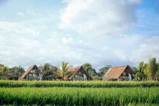 ДНЕВНЫЕ ОБЛАКА, Убуд. Ubud