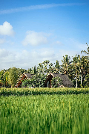 ДНЕВНЫЕ ОБЛАКА, Убуд. Ubud - изображение 1