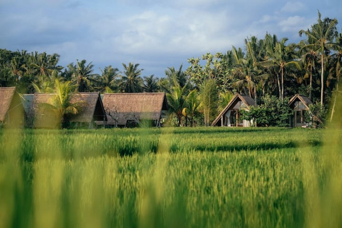 ДНЕВНЫЕ ОБЛАКА, Убуд. Ubud - изображение 5