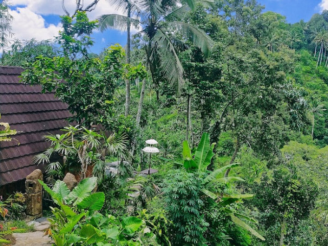 1 Br Valley view Ubud Country side Ubud - изображение 3