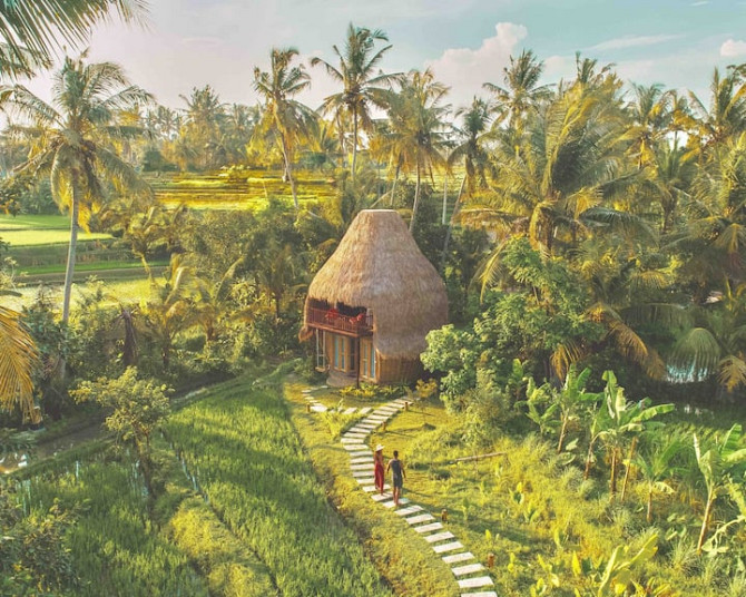 DD BAMBOO LODGE-bamboo eco в рисовых полях Ubud - изображение 1