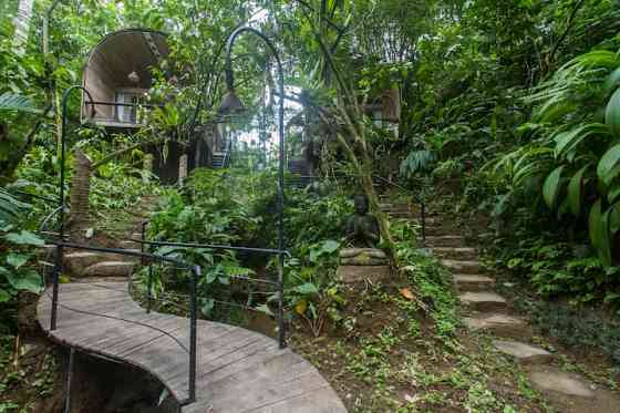 НОВАЯ СКИДКА 20% | Forest Escape in Payangan, Bali Ubud