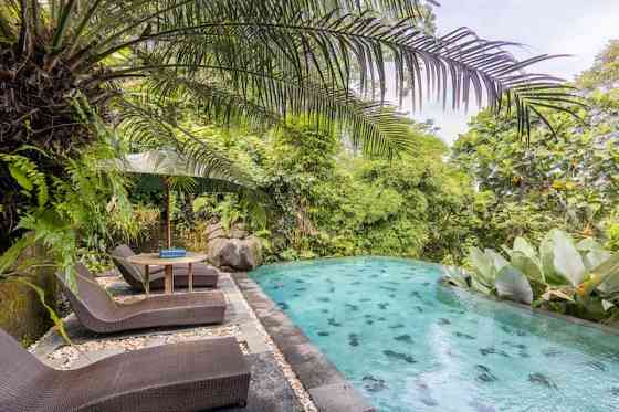 #5 Уютный B&B  с видом на джунгли и ее Ubud