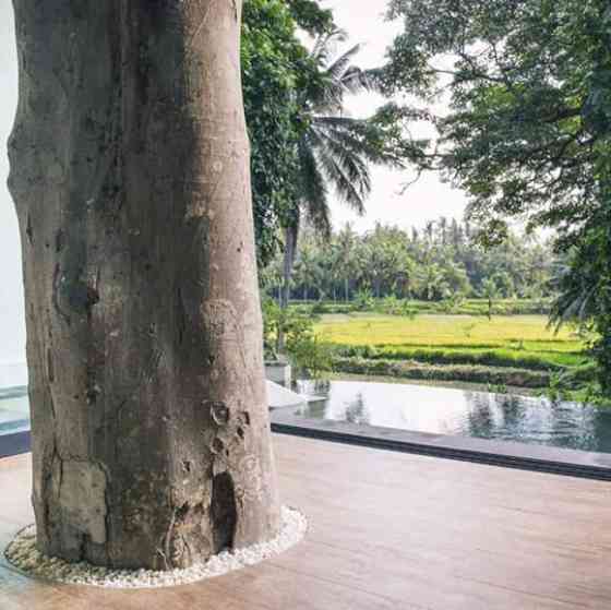 Luxury Treehouse, Stunning View, Great Location! Ubud