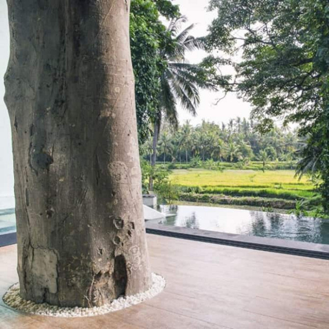 Luxury Treehouse, Stunning View, Great Location! Ubud - изображение 3