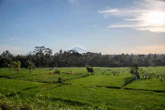 Идеально для семей и друзей, 3 частной виллы BDR. Ubud