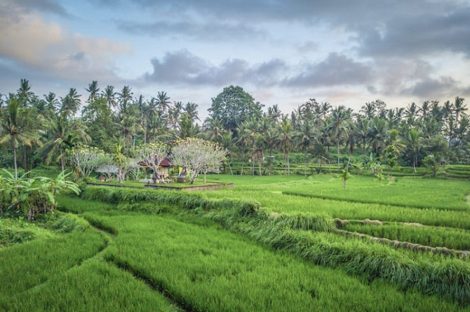 ПРОМОАКЦИЯ в последнюю минуту! Роскошный оазис, потрясающие виды! Ubud - изображение 5