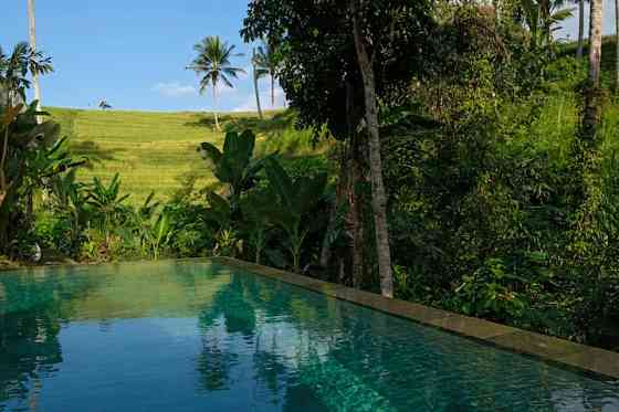 Bebalilodge, односпальный дом с частным бассейном Ubud