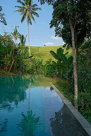 Bebalilodge, односпальный дом с частным бассейном Ubud