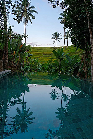 Bebalilodge, односпальный дом с частным бассейном Ubud - изображение 4