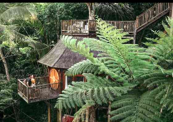 Дом Enchanted Hobbit Treehouse расположен в джунглях Ubud